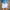 Damen entspannte Denim-Shorts mit modischen Abrieb-Details WW