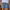 WW | Hip Kurze Hose