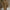 WW Ripped O Neck Oversized Sweater Kleid
