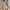 Damen sportliches Zweiteiliges Set mit T-Shirt und Shorts WW