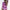 Damen sportliches Velours-Set mit cropped Hoodie und kurzen Hose WW
