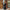 Damen Abendkleid mit Spitzenoberteil und elegantem Schlitz W&W