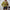 Damen Strickpullover mit stylischem Kragen WW
