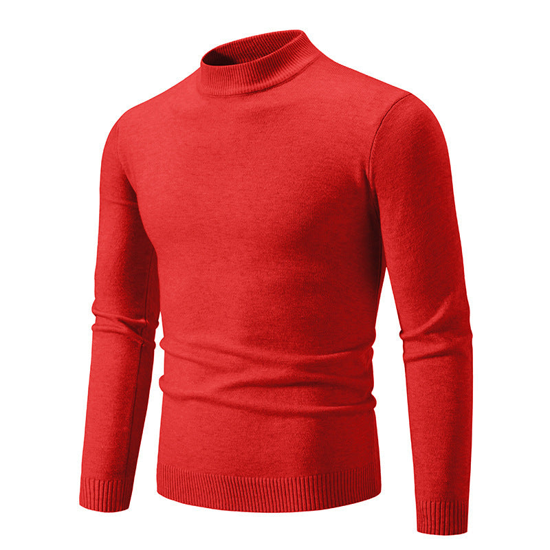 Herren Rollkragenpullover aus weichem Strickmaterial WW