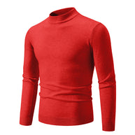 Herren Rollkragenpullover aus weichem Strickmaterial WW