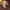 Dame Quadrat-Zehentrenner Mary Jane Pumps mit Blockabsatz WW