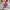 Damen farbenfroher Pullover im modischen Blockfarben-Design mit Leopardenmuster WW
