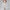 Damen Sportliches Set mit figurbetontem Top und Hochbund-Leggings WW