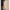 Damen Strickkleid mit eleganten Knopfdetails und Rundhalsausschnitt WW