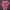 Damen Sportliches Set aus Kapuzenjacke und Jogginghose WW