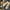 Damen elegante Slingback-Pantoletten mit Ketten-Detail W&W