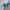 Damen Destroyed Denim-Shorts mit hohem Bund und ausgefranstem Saum WW