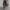 Damen Bequeme und stylische High-Waist Freizeithose WW
