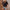 Damen Bluse mit dekorativem Lochmuster und elegantem V-Ausschnitt WW