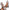 Damen Ballerinas mit floralem Muster und elegantem, spitzem Zehenbereich W&W