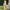Damen Abendkleid mit asymmetrischem Schnitt WW