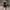 Damen Fransen-Bikini-Set mit modischem Oberteil und figurbetontem Unterteil WW