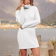 Damen Strickkleid mit hohem Kragen und feinem Rippenmuster WW