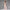 Damen Glamouröses Overalls mit glitzerndem Oberteil und weit geschnittenen Hosen WW