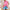 Damen ärmelloses Blusenshirt mit modischem Floralprint und lockerer Passform WW