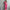 Damen Sportliches Freizeit-Set mit cropped Jacke und weiter Hose WW
