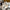 Damen Slingback-Pumps mit elegantem spitzem Design und komfortablem Absatz W&W