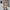 Damen Karierter Oversized-Wintermantel mit praktischen Taschen und Knopfdetail W&W