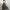 Damen Maxi Rock mit floralem Muster W&W