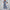 Damen Oversized Jumpsuit mit Puffärmeln und elastischem Taillenbund WW