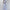 Damen Elegantes Abendkleid mit asymmetrischem Design und weichem Umhang WW