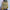 Damen Strickpullover mit tiefem V-Ausschnitt und markantem Streifenmuster WW