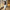 Damen Abendkleid W&W