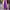 Damen Eleganter Jumpsuit mit Wickeloberteil und langen, geraden Beinen WW