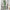Damen sportliches Rippstrick-Loungewear-Set WW