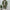 WW | 2 Teiliges Wildleder Satz Hemd Und Hose