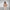 Damen Sportlicher Two-Piece-Set WW