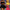Damen Sportliches Bikini-Set WW