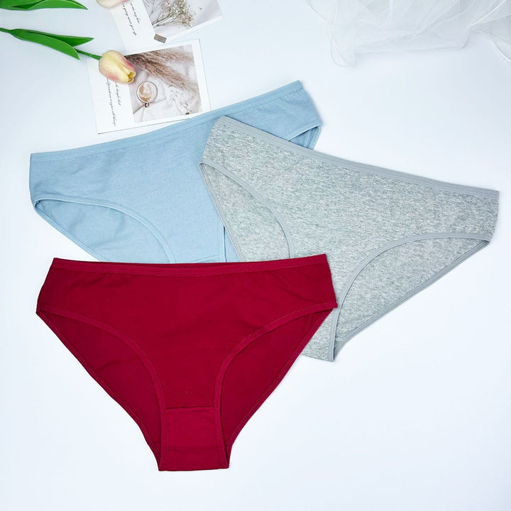 W&W Mode | Damen Slip aus reiner Baumwolle, unifarben und schlicht
