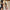 Damen Ballerinas mit flexiblem Obermaterial und rutschfester Sohle WW