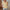 Damen Bluse mit dekorativem Lochmuster und elegantem V-Ausschnitt WW