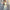 Damen cropped Lounge-Set mit enger Passform und modischen Akzenten W&W