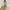 Damen Jumpsuit mit floralen Mustern und eleganter Passform WW