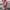 Damen Oversized Sweatshirt mit gestepptem Design und Komfort Fit WW