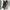 Damen Strickkleid mit fein strukturierter Rippoptik und eleganten Knopfdetails WW