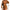 Damen Strickkleid mit figurbetontem Schnitt und Raffungen WW
