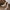 Damen Elegante Slingback Pumps mit spitzem Zehenbereich W&W
