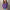Einfacher und stilvoller Winterpullover