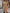 Damen Strickkleid mit hohem Kragen und feinem Rippenmuster WW