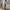 Damen Strickjacke mit offener Vorderseite und lässigem Schnitt WW