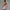 WW | Mini Cocktailkleid Schulterfreies Abendkleid Mit Schleifendetail